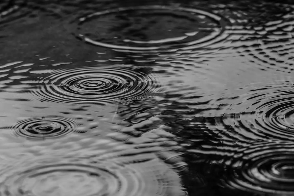 A Homeowner’s Guide to Rainwater&nbsp;Tanks
